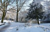 Winter im Park 08.12. 2012_112.jpg
