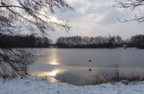 Winterimpressionen_029.jpg